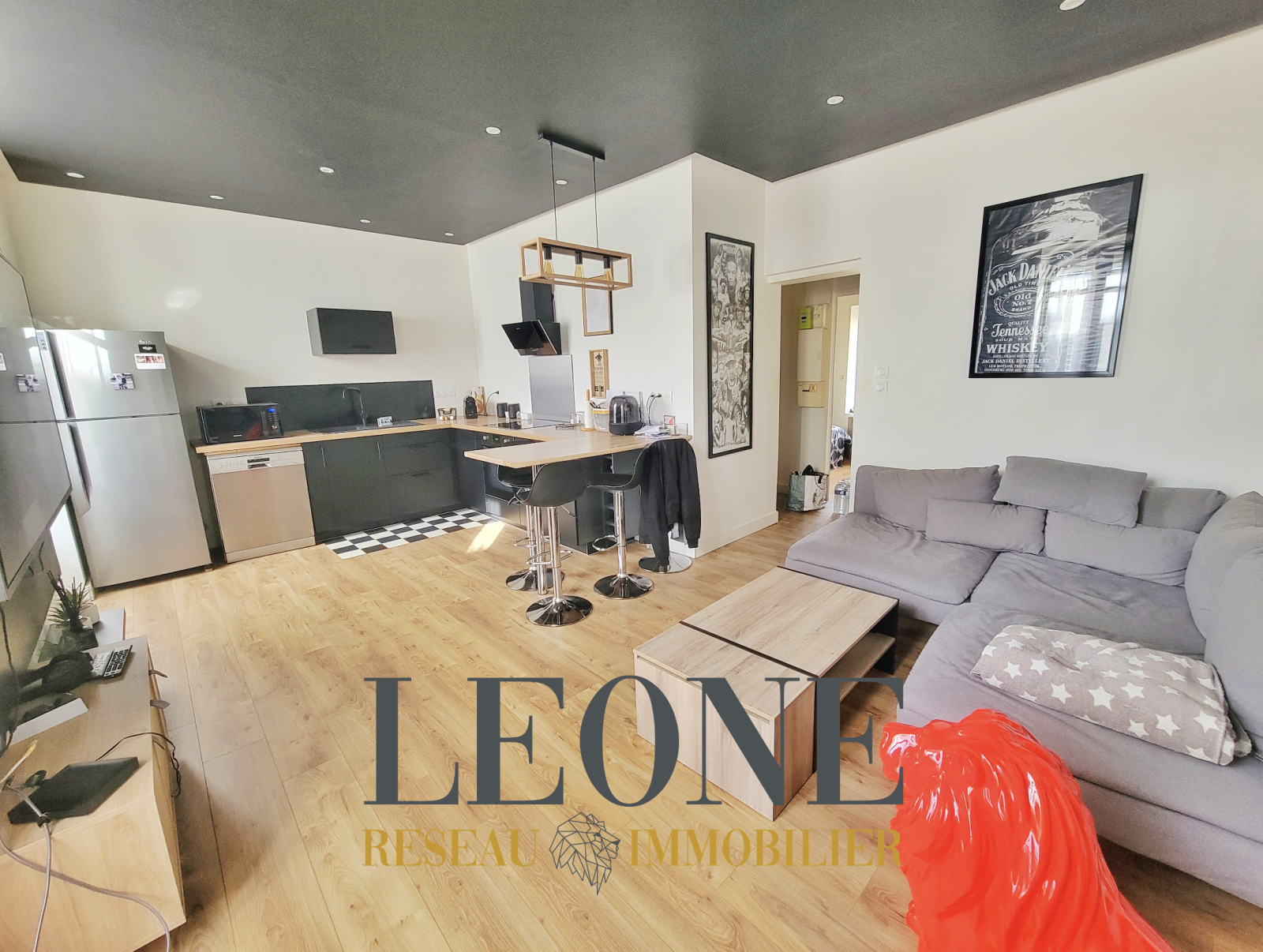 Image_1, Appartement, Oullins-Pierre-Bénite, ref :DH 1451