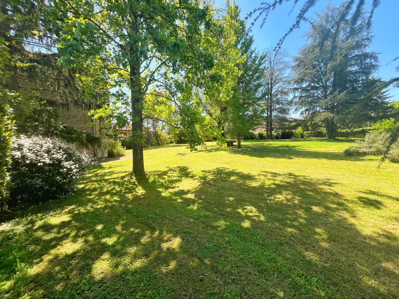 Image_24, Propriete, Morancé, ref :JP1549