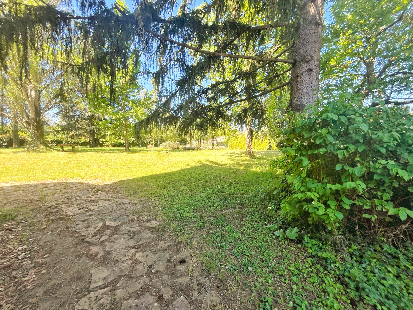 Image_28, Propriete, Morancé, ref :JP1549