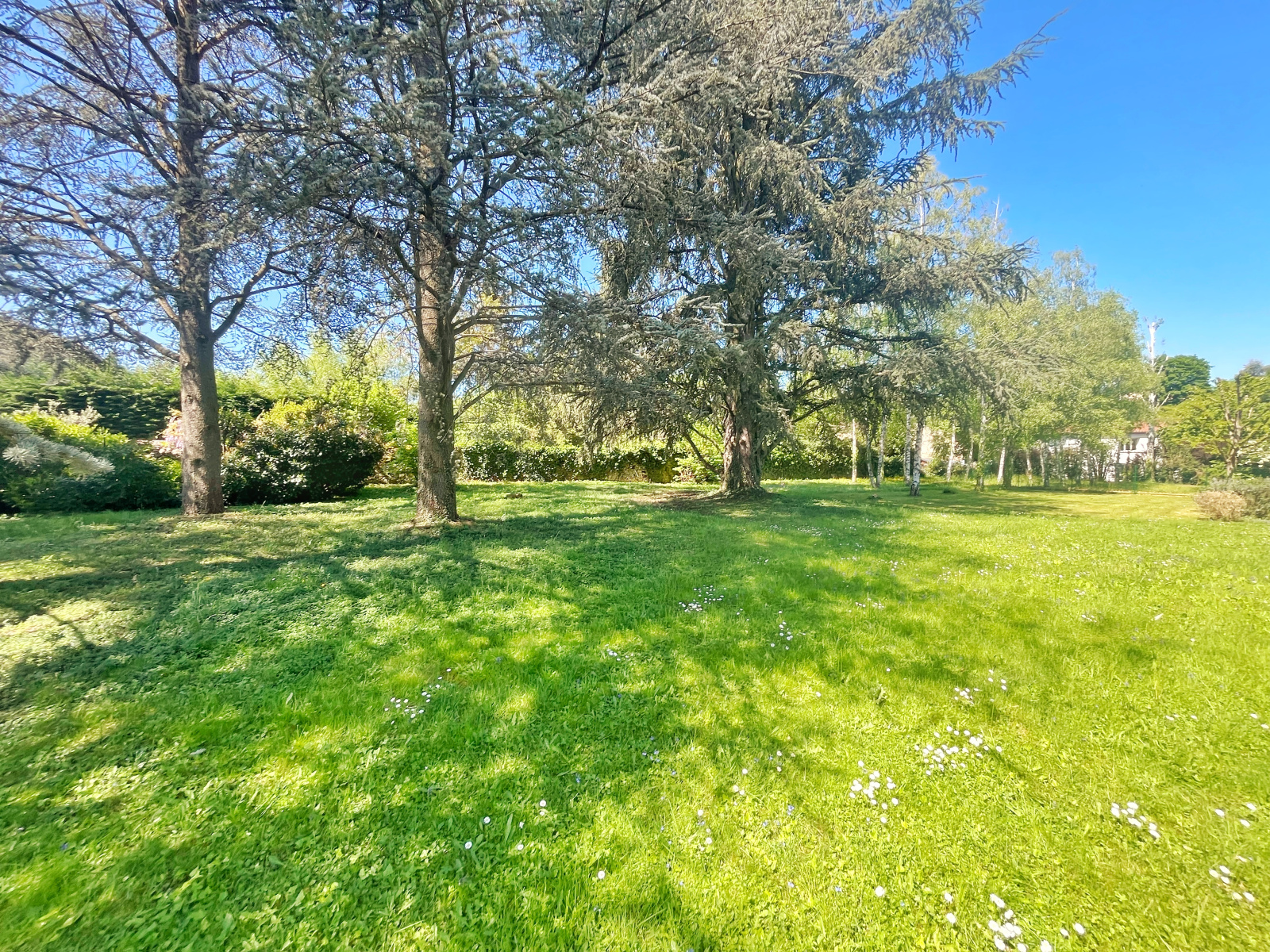 Image_26, Propriete, Morancé, ref :JP1549