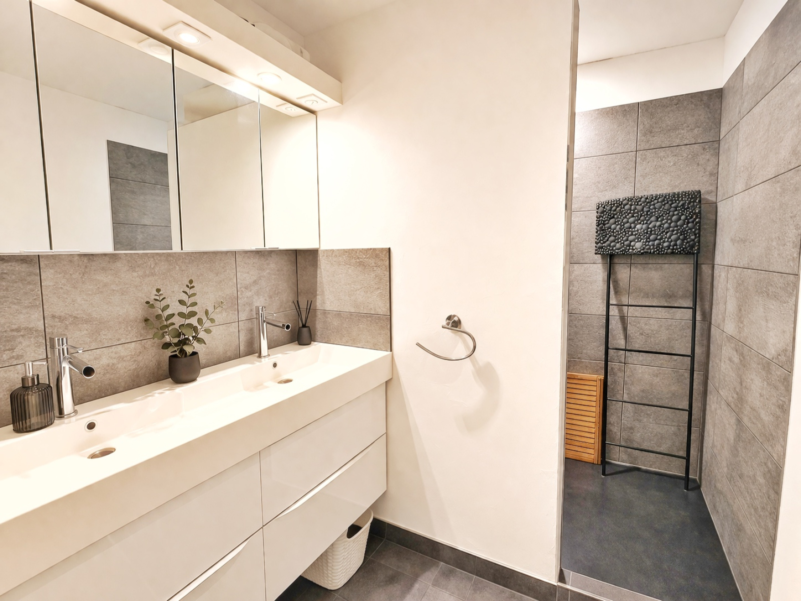 Image_15, Appartement, Oullins-Pierre-Bénite, ref :DH 1412