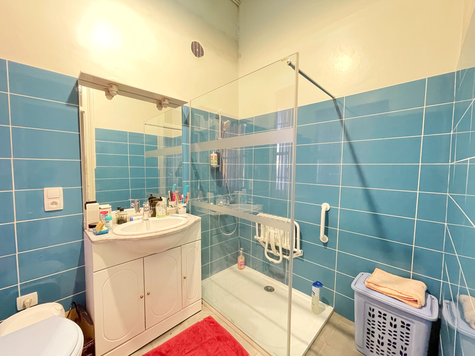 Image_13, Appartement, Oullins-Pierre-Bénite, ref :LC1430