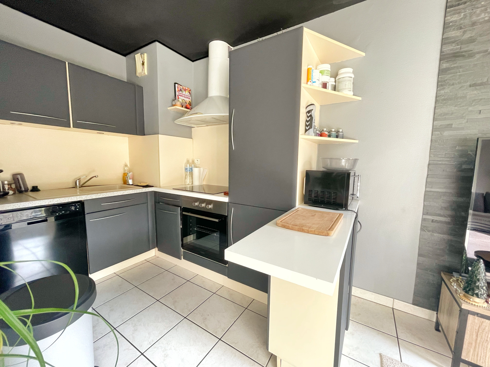 Image_7, Appartement, Condrieu, ref :kp1442