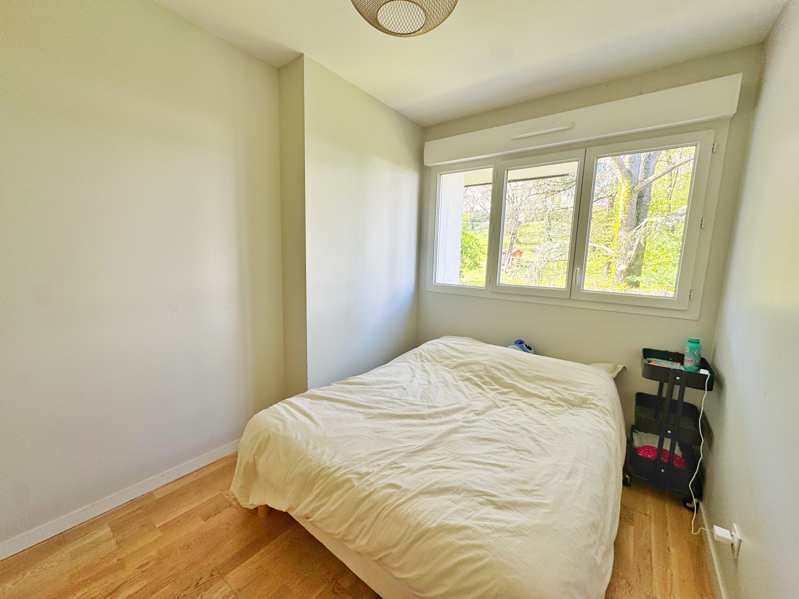 Image_11, Appartement, La Mulatière, ref :DH 1529