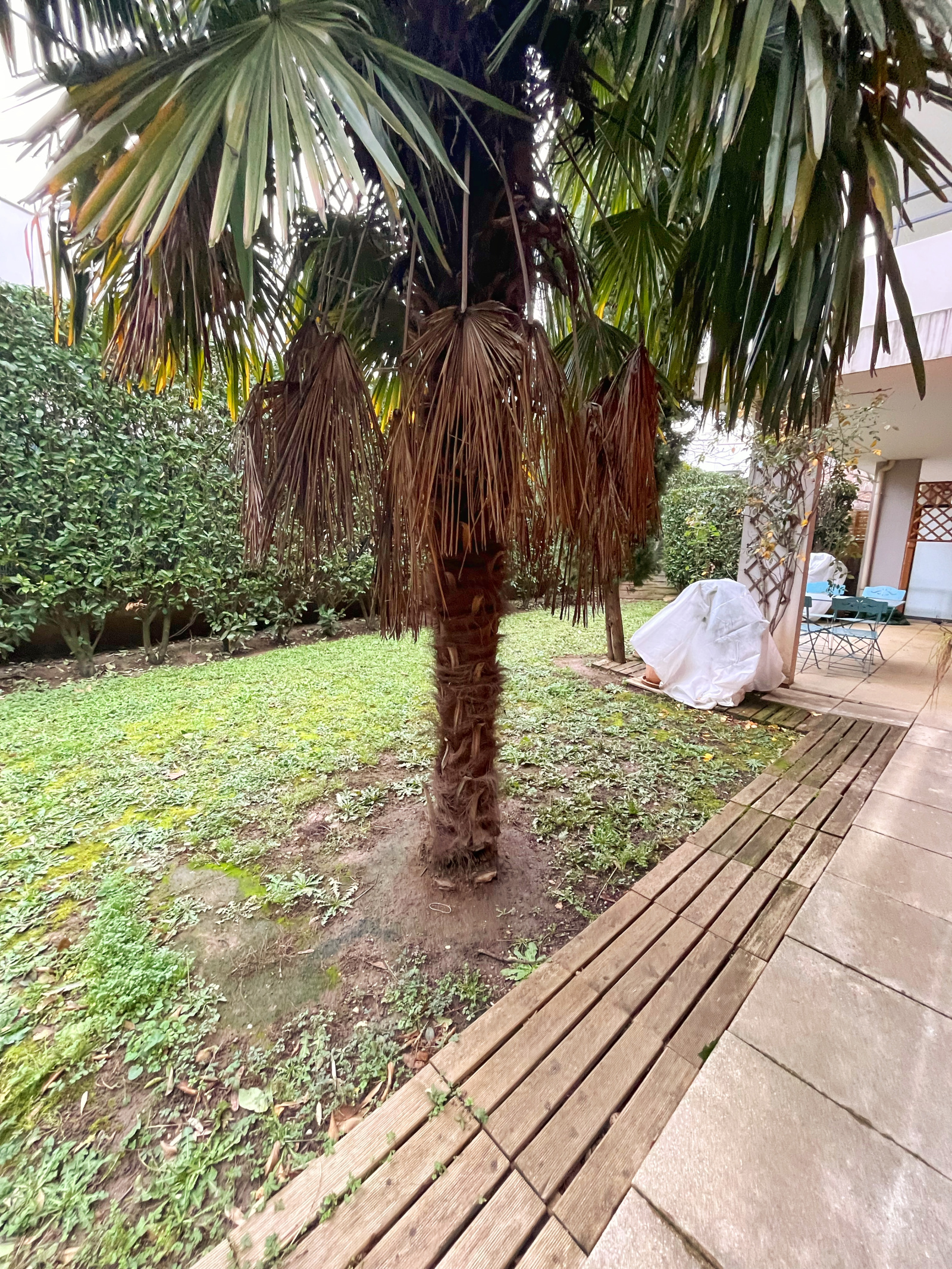 Image_3, Rez de jardin, Villefranche-sur-Saône, ref :JP1439