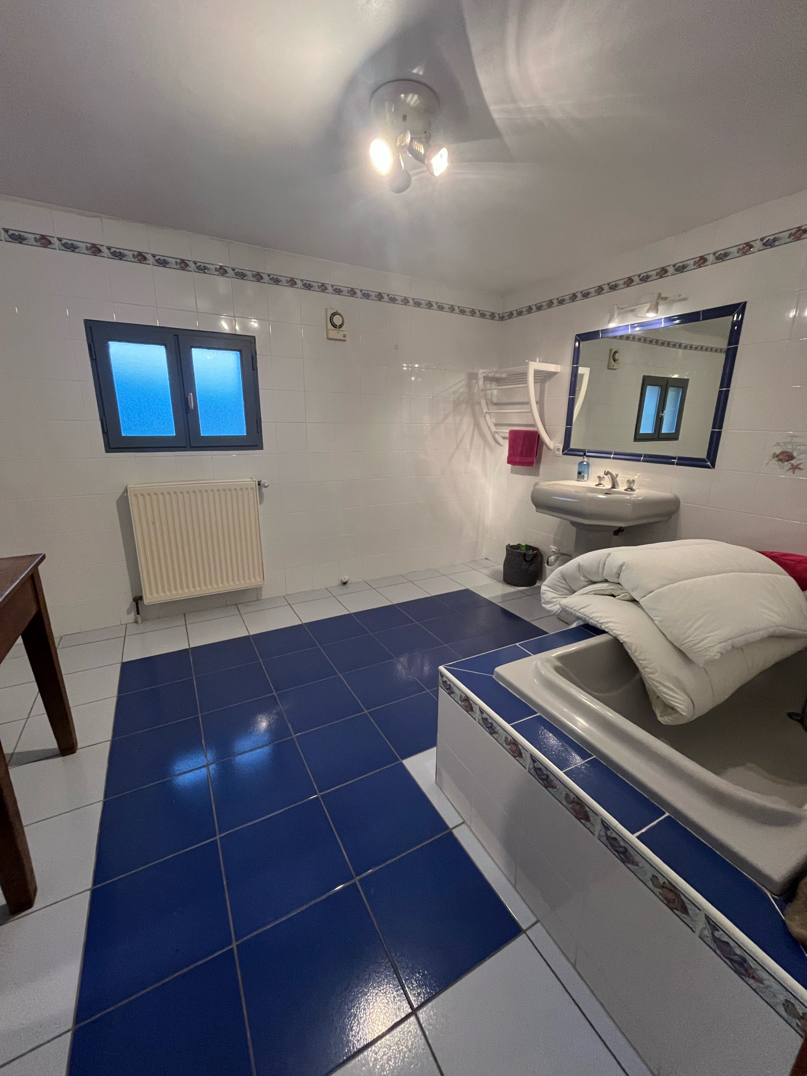 Image_18, Maison, Saint-Clément-sur-Valsonne, ref :JP1426