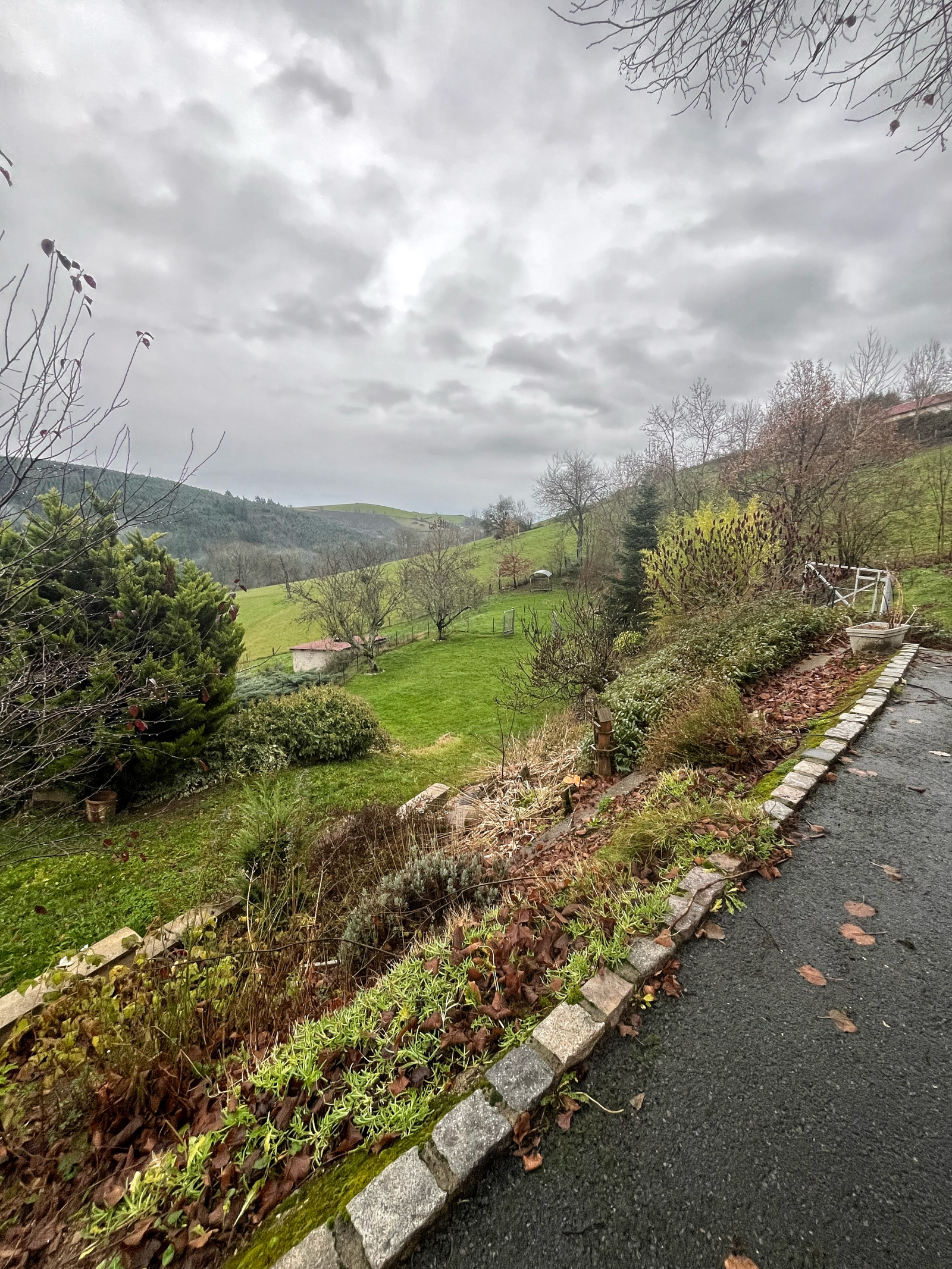 Image_7, Maison, Saint-Clément-sur-Valsonne, ref :JP1426