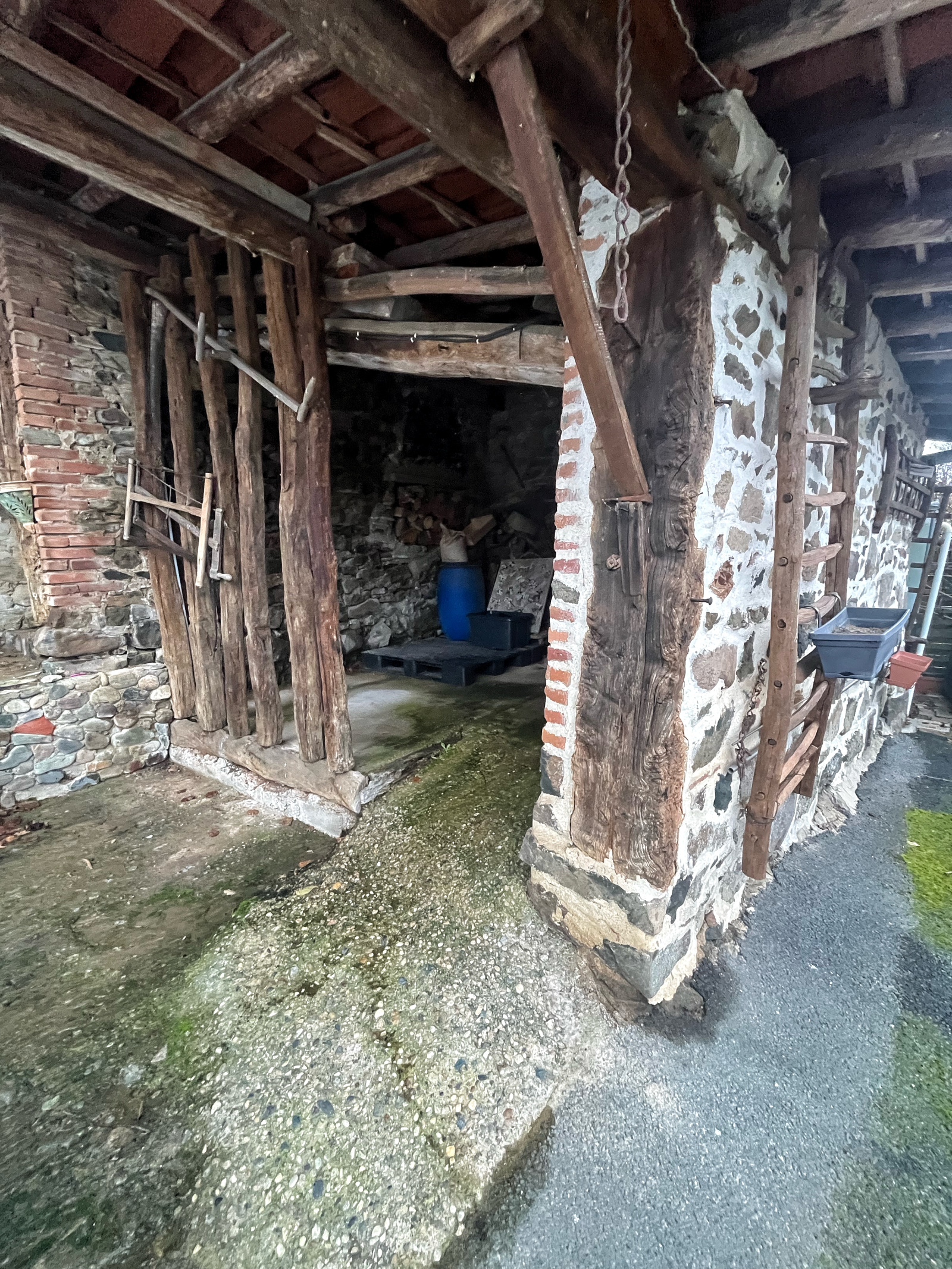 Image_8, Maison, Saint-Clément-sur-Valsonne, ref :JP1426