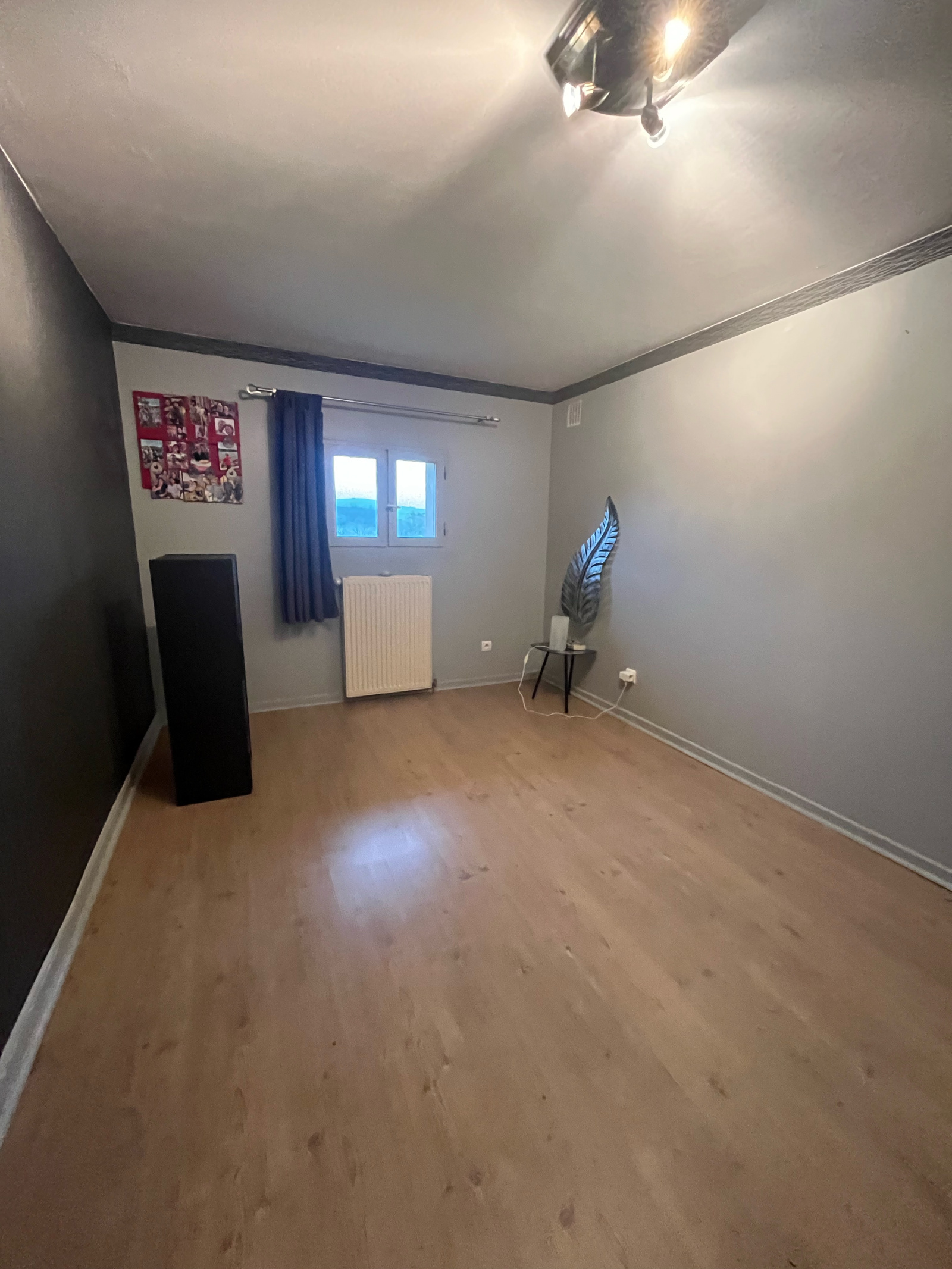 Image_19, Maison, Saint-Clément-sur-Valsonne, ref :JP1426