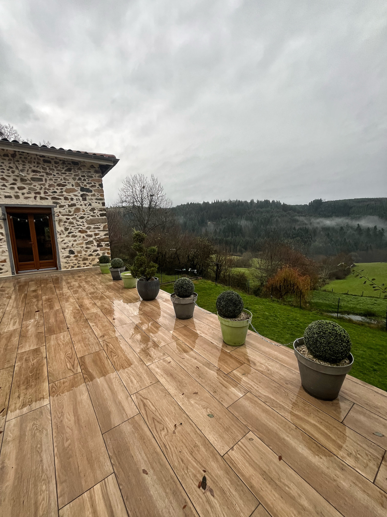 Image_3, Maison, Saint-Clément-sur-Valsonne, ref :JP1426