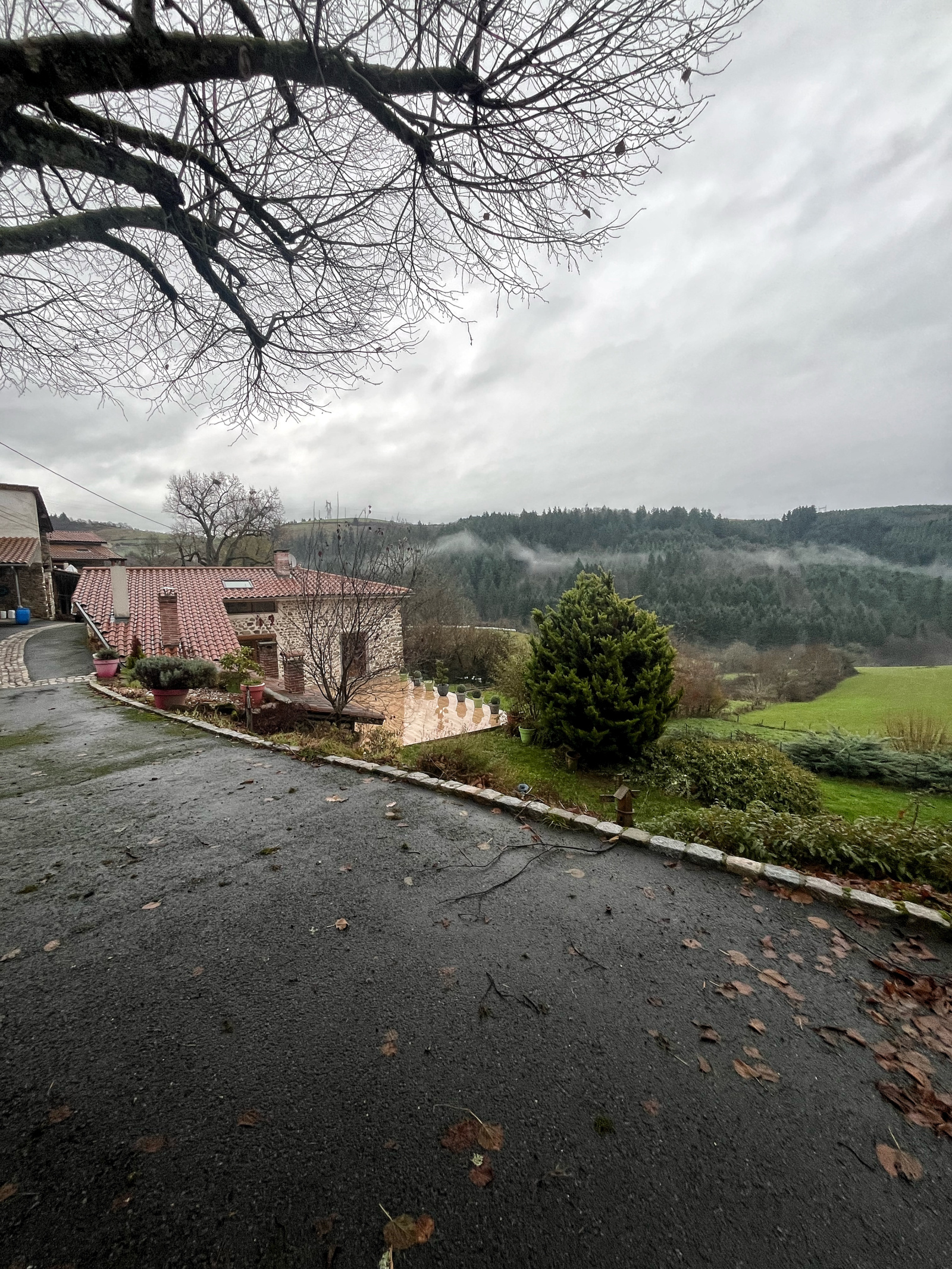 Image_5, Maison, Saint-Clément-sur-Valsonne, ref :JP1426