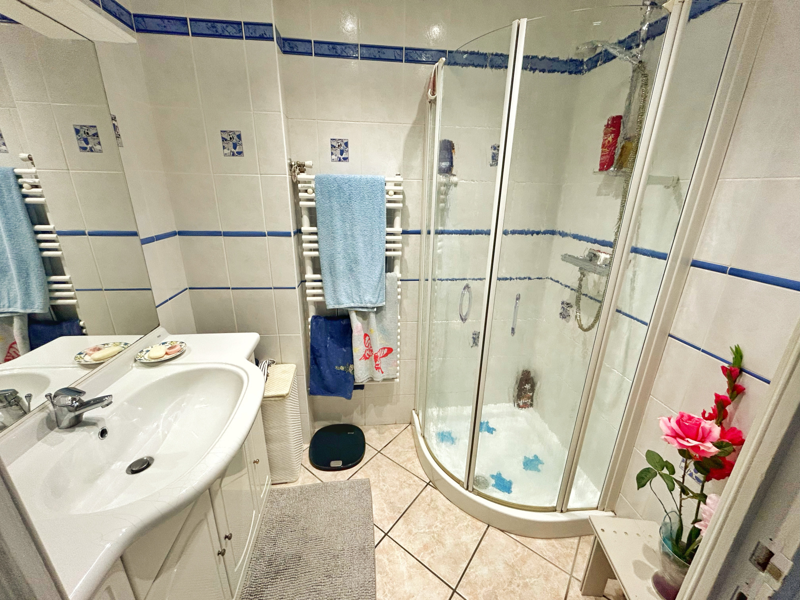 Image_14, Appartement, Givors, ref :MP1561