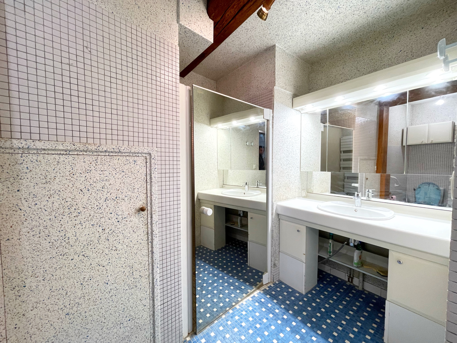 Image_14, Maison, Orliénas, ref :LC1499