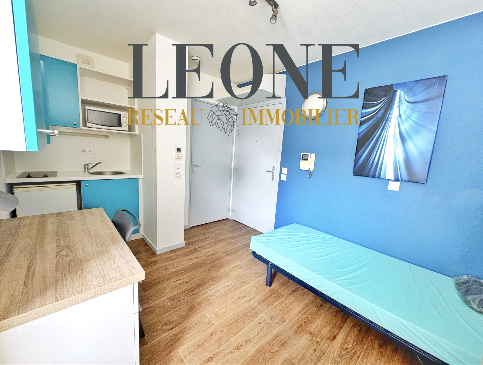 Image_1, Appartement, Lyon, ref :1566
