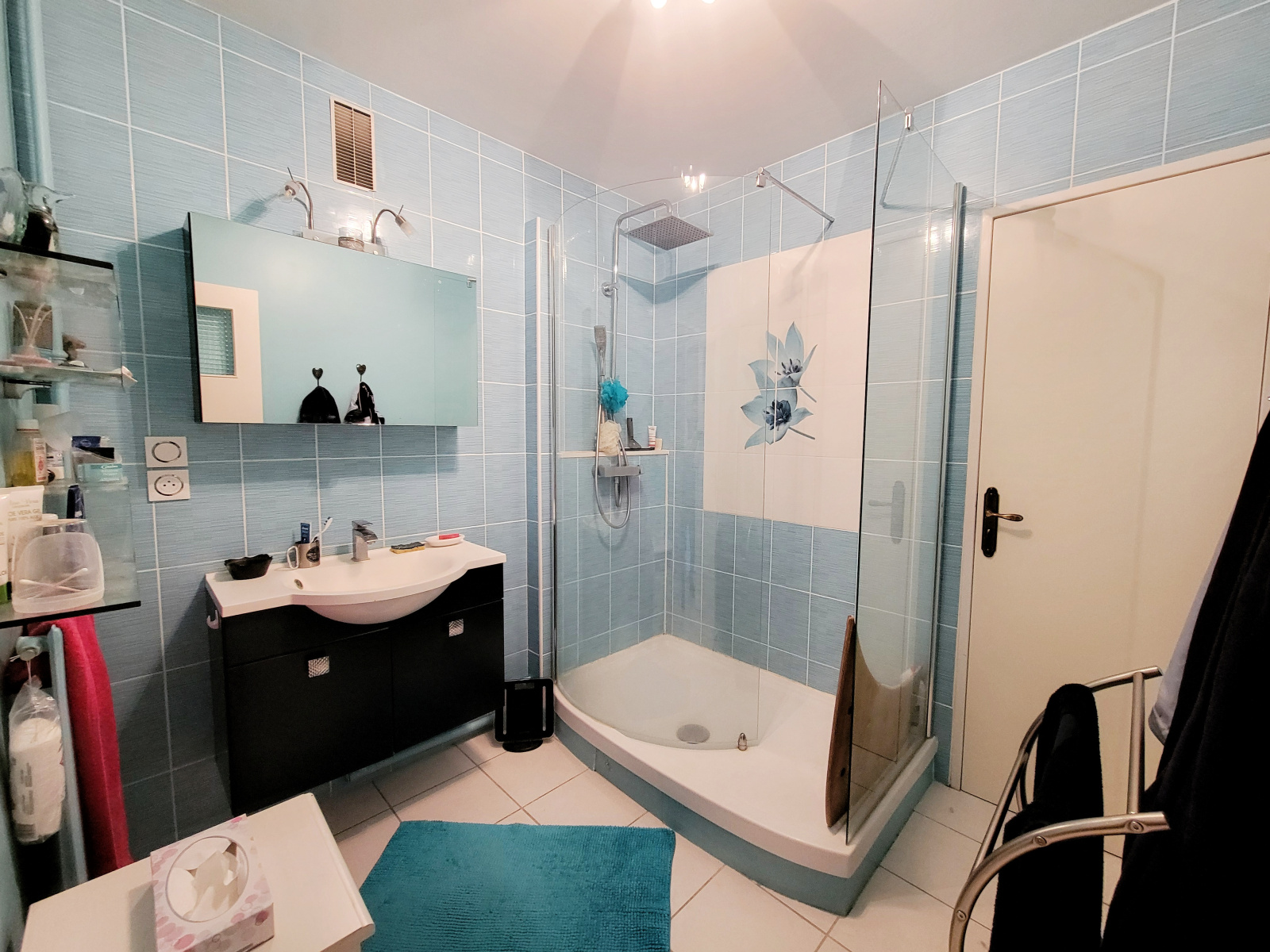 Image_4, Appartement, Oullins-Pierre-Bénite, ref :DH1394