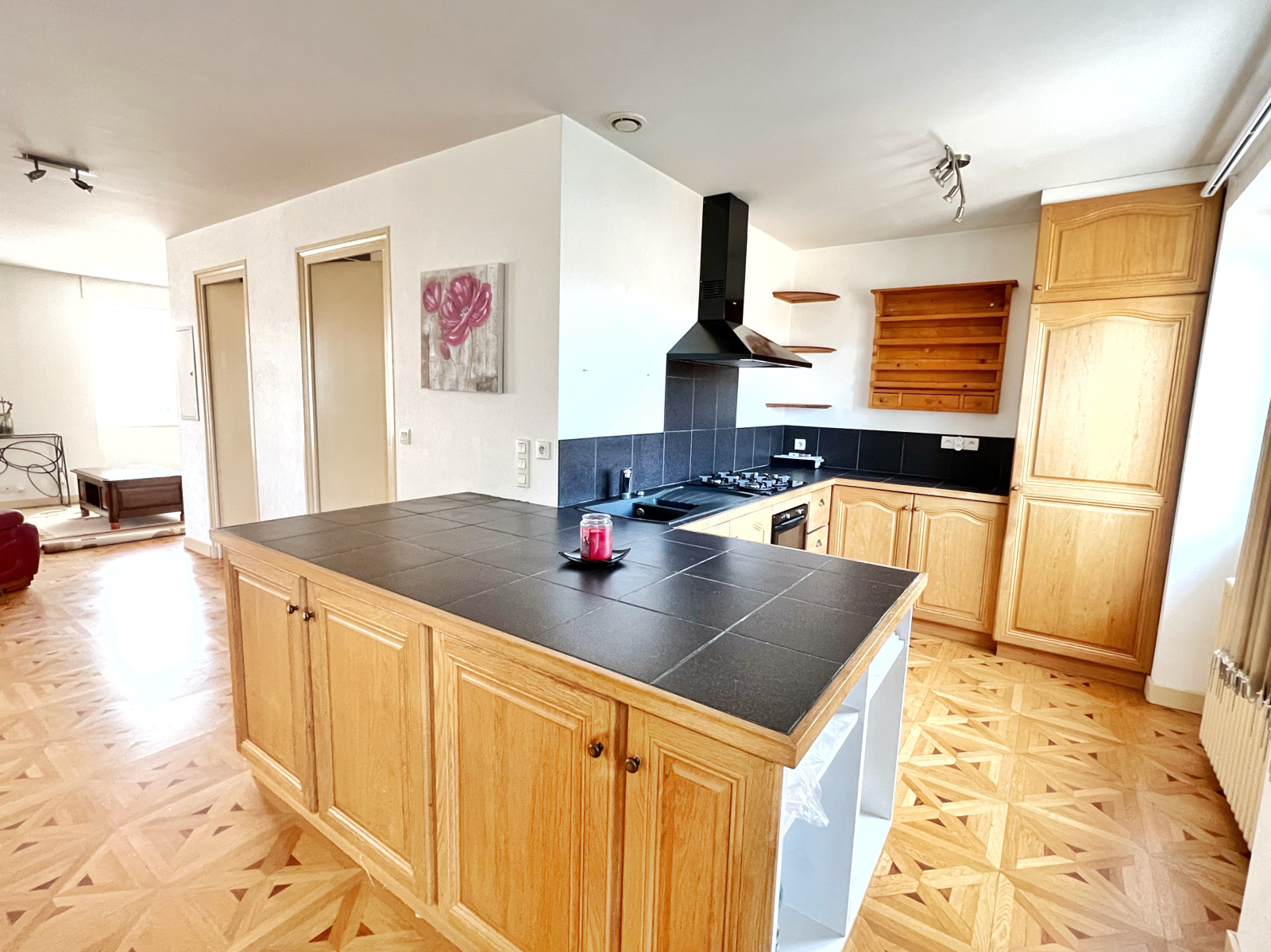 Image_5, Maison, Toussieu, ref :AP1514