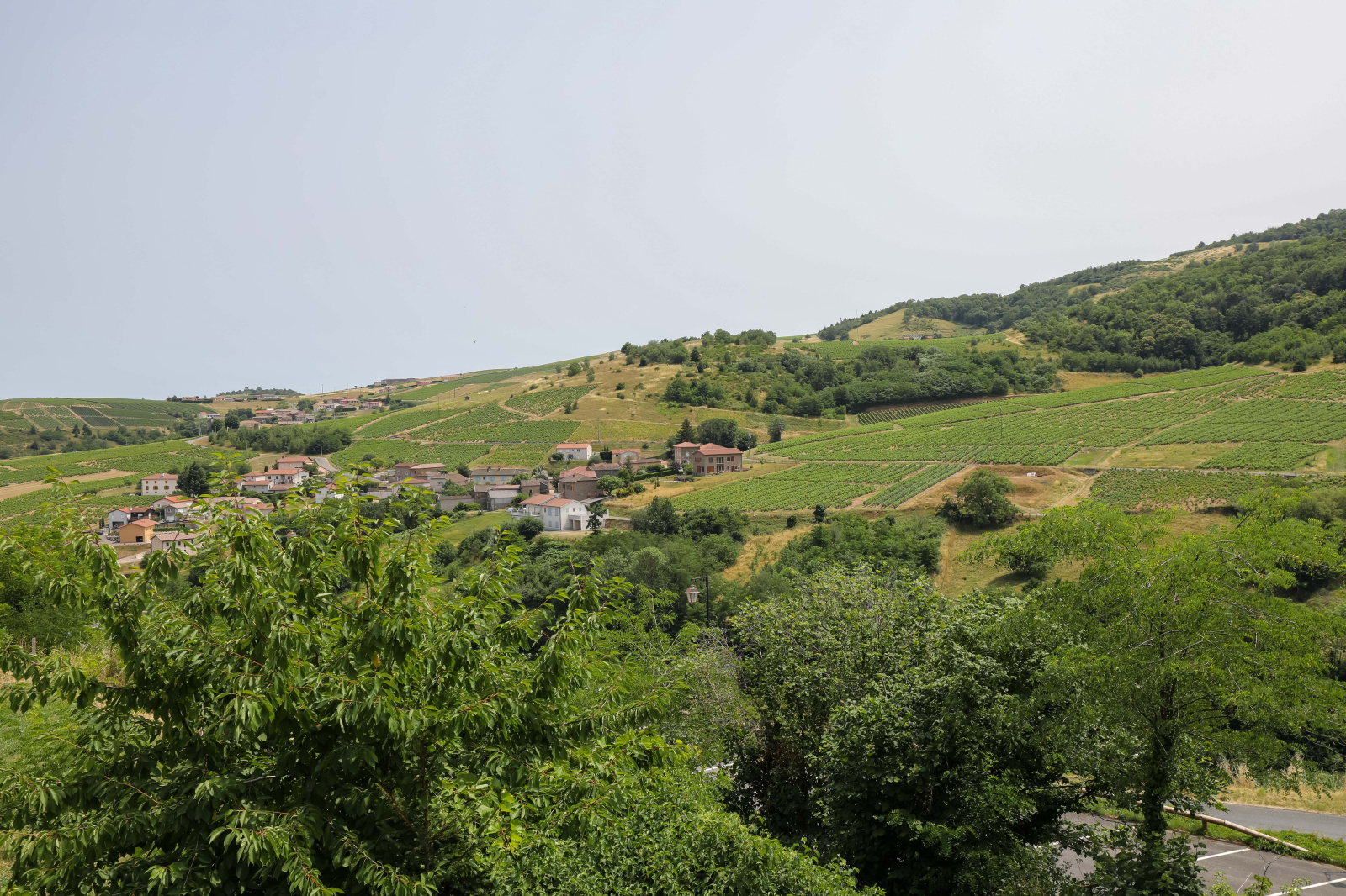 Image_15, Maison de village, Vaux-en-Beaujolais, ref :JC1600