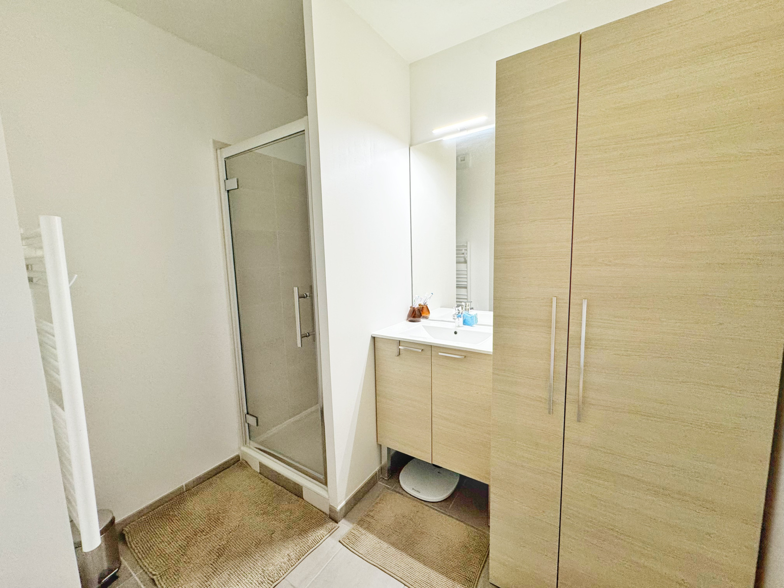 Image_9, Appartement, Oullins-Pierre-Bénite, ref :DH 1595