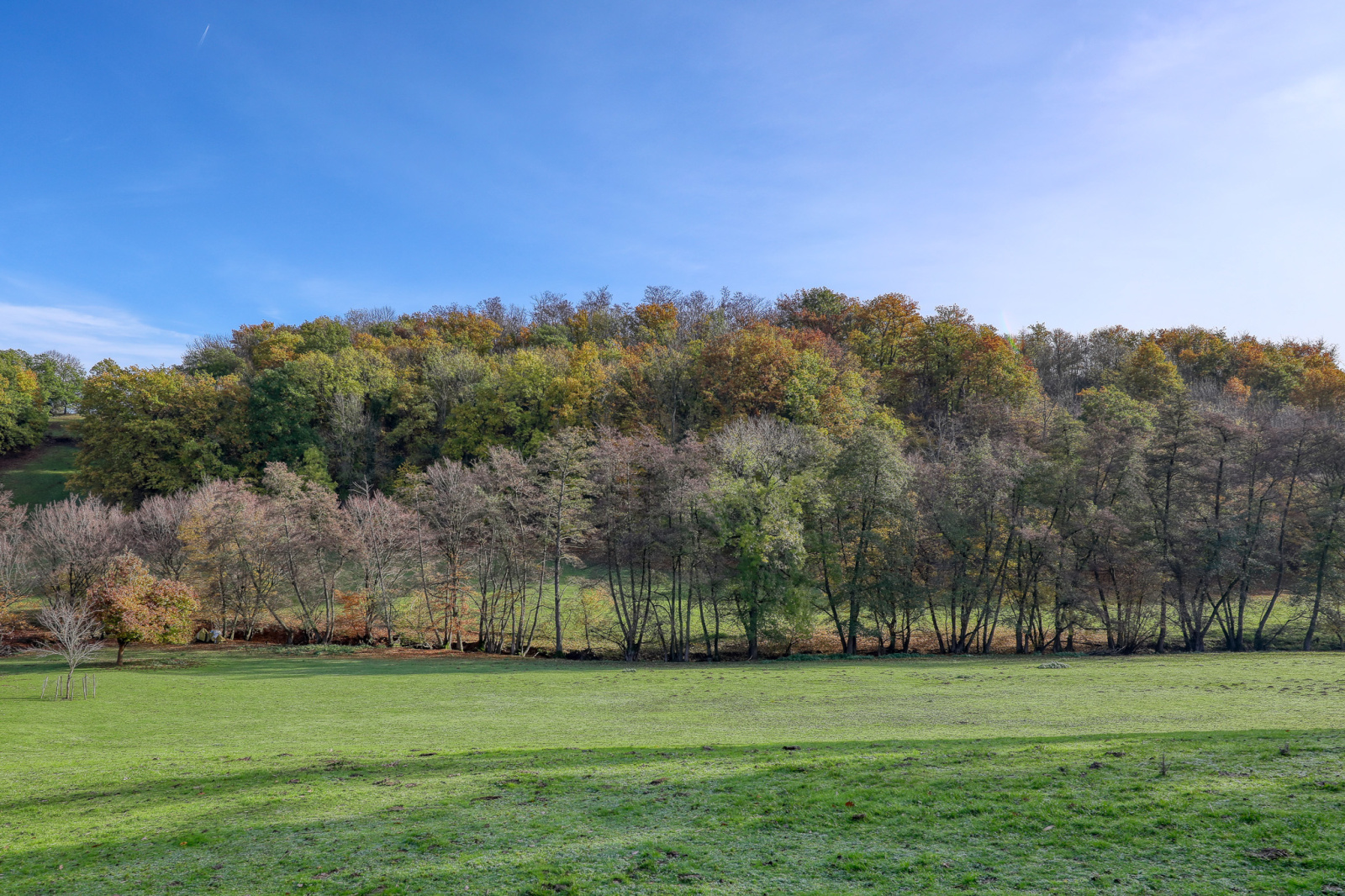 Image_7, Villa, Civrieux-d'Azergues, ref :JP1376